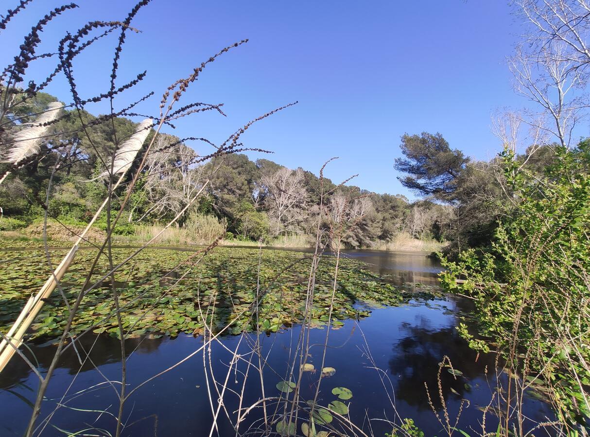 סיס-פור-לה-פלאז' Domaine De La Coudouliere, Vue Mer, Plage, Piscine Et Parc מראה חיצוני תמונה
