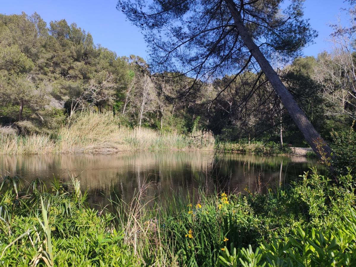 סיס-פור-לה-פלאז' Domaine De La Coudouliere, Vue Mer, Plage, Piscine Et Parc מראה חיצוני תמונה